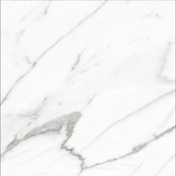 AGL Carrara Matte 24 x 24